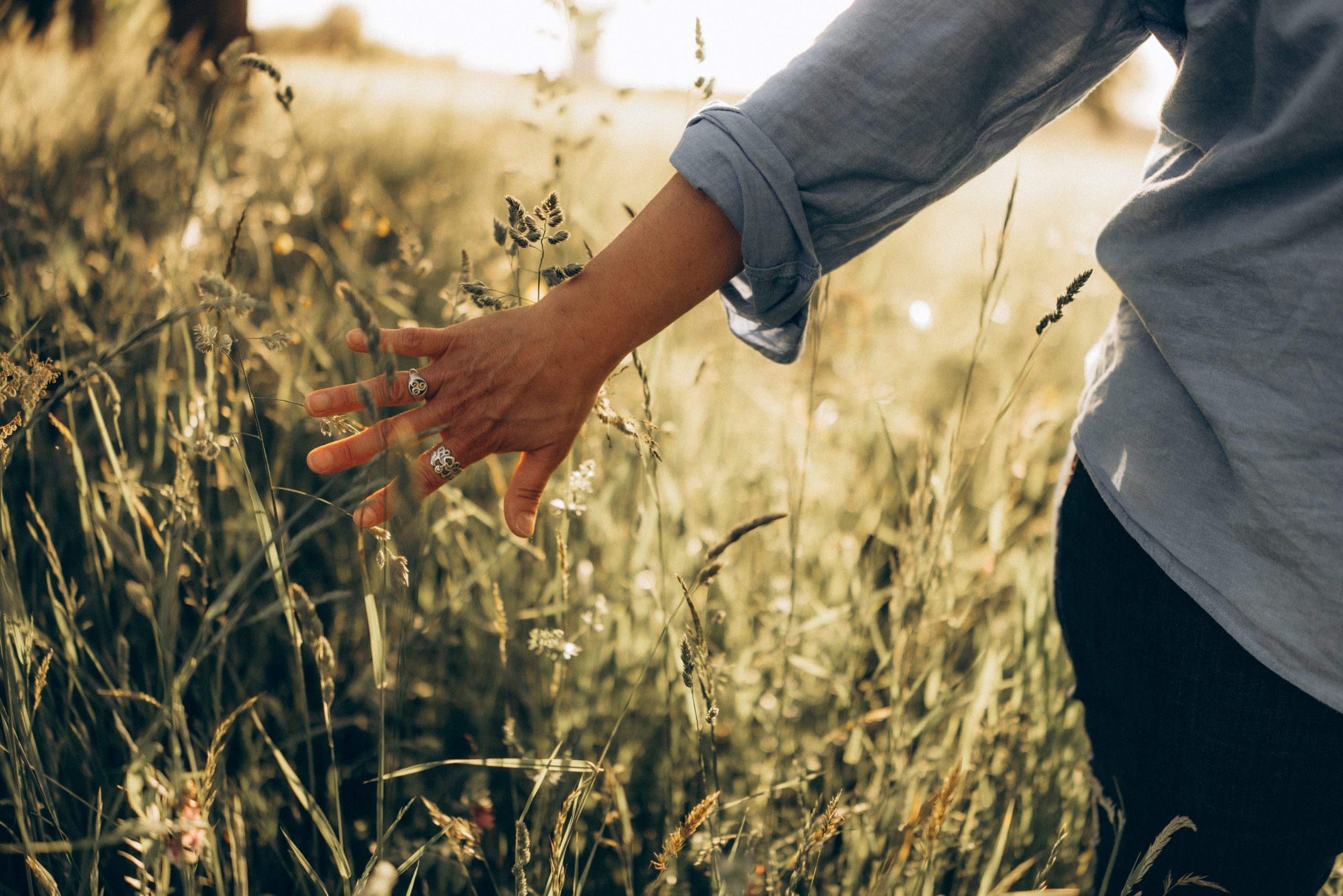 Il était une fois, nous!